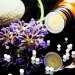 Despre Homeopatie