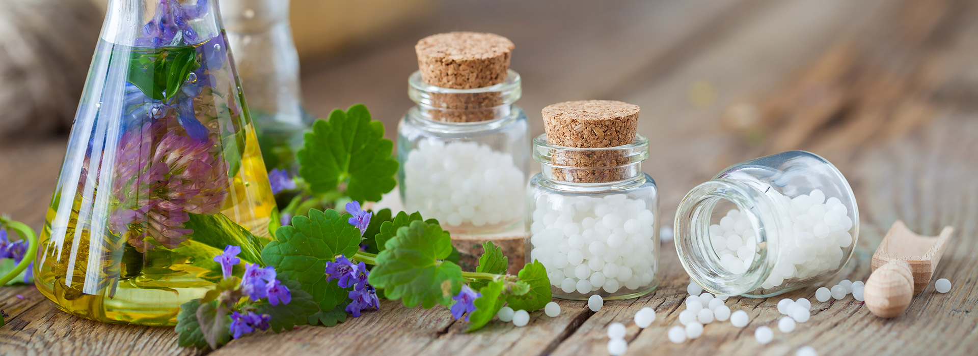 Programare homeopatie dr. Gidea Adriana